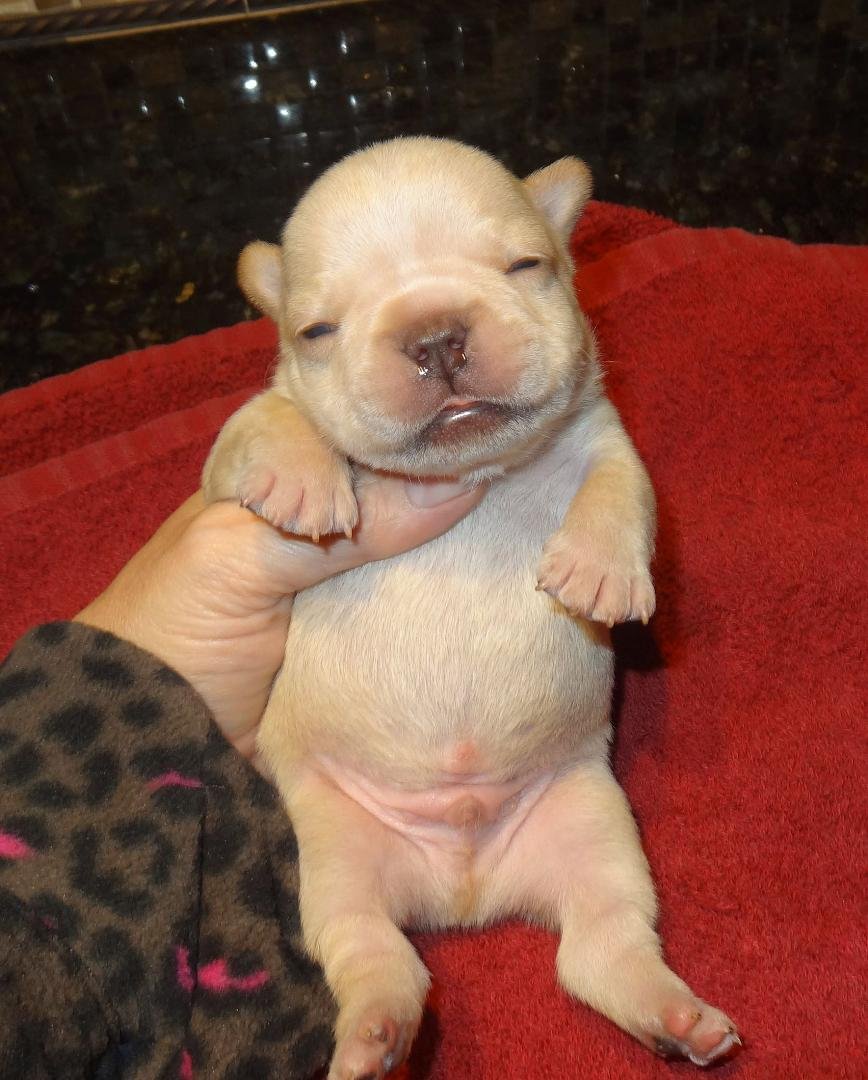 Need a nap, just finished up at the Milk Barn! Yawn!!