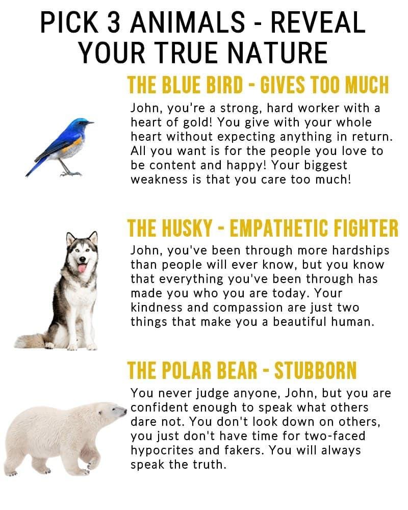 John Krebs' album, Timeline photos