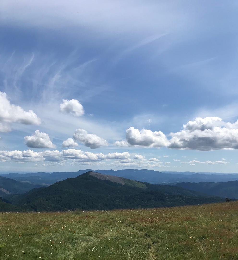 Mary's Peak, 4000 feet, Oregon's Coastal Range. Talk about Fresh Air.