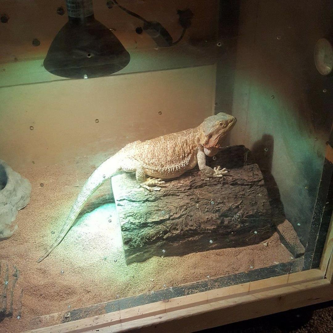 Ursula finally woke up from her 3 month nap.