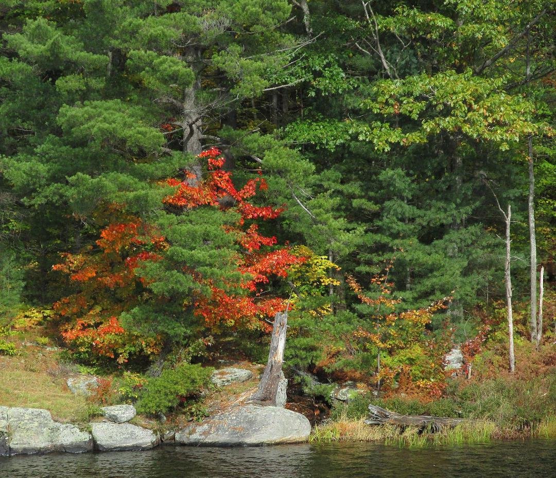 Michael Doyle's album, Muskoka in the Fall
