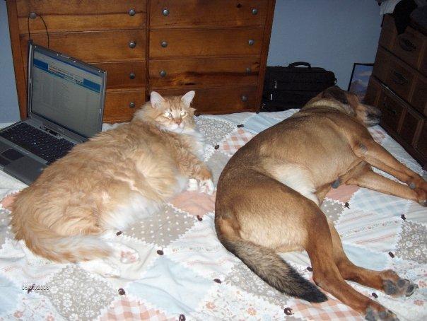 Willie and Toby, just chillin'