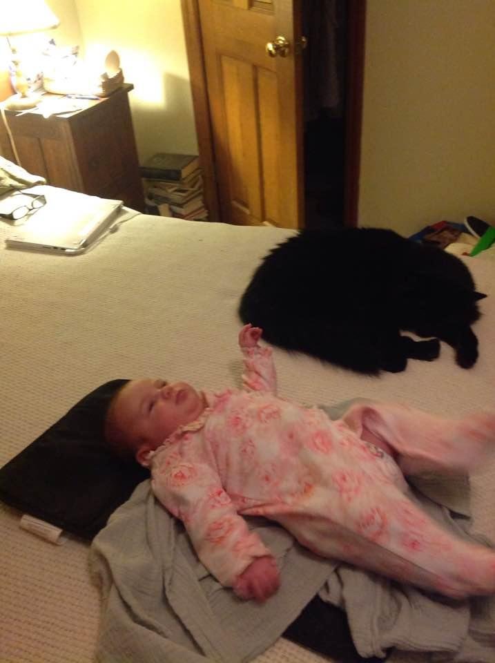 Willow and the cat.