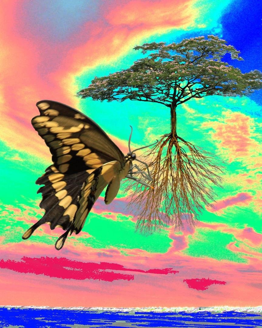 And there was Giant ButterFies feeding on Floating trees...