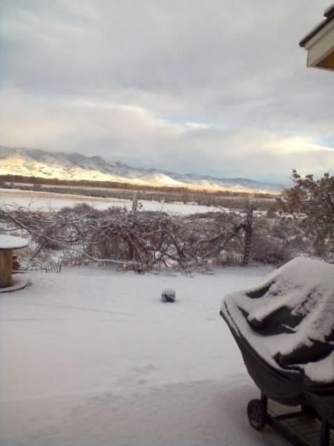 William Arthur Cook's album, Our First snow 11/21/2010 Not much More Later ?