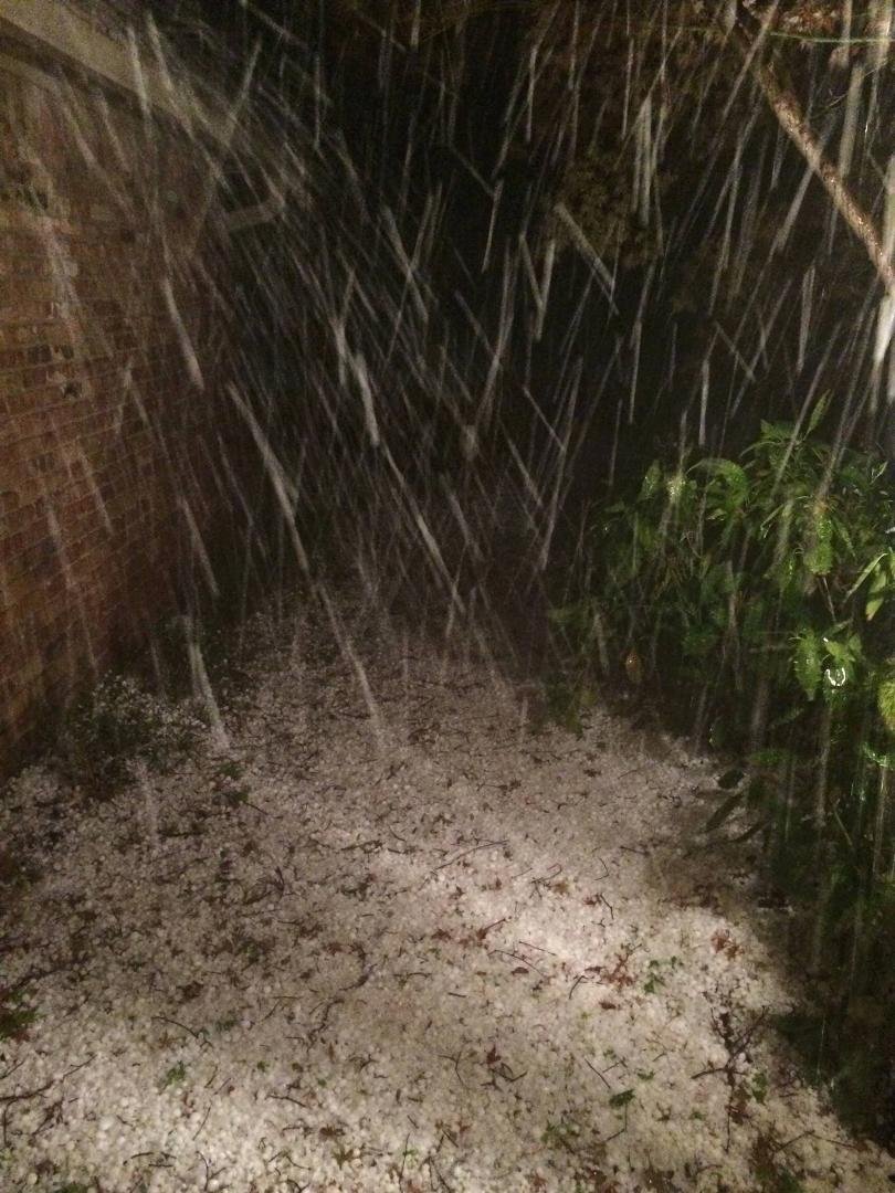 This was taken through our storm door at the height of our hail storm tonight. What a storm. Quarter size hail sounded like it was coming from all directions inside the house .