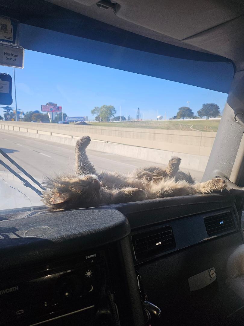 What a life