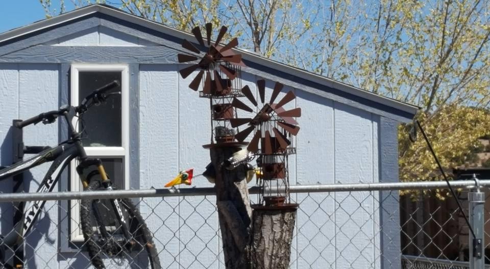 Cut off dead tree and added windmill bird feeders.Going to plant black eyed susans to climb.