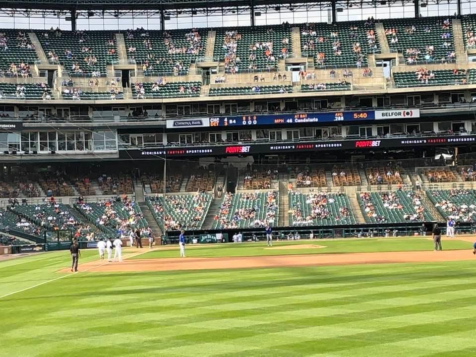 Pandemic baseball. Go Cubbies.