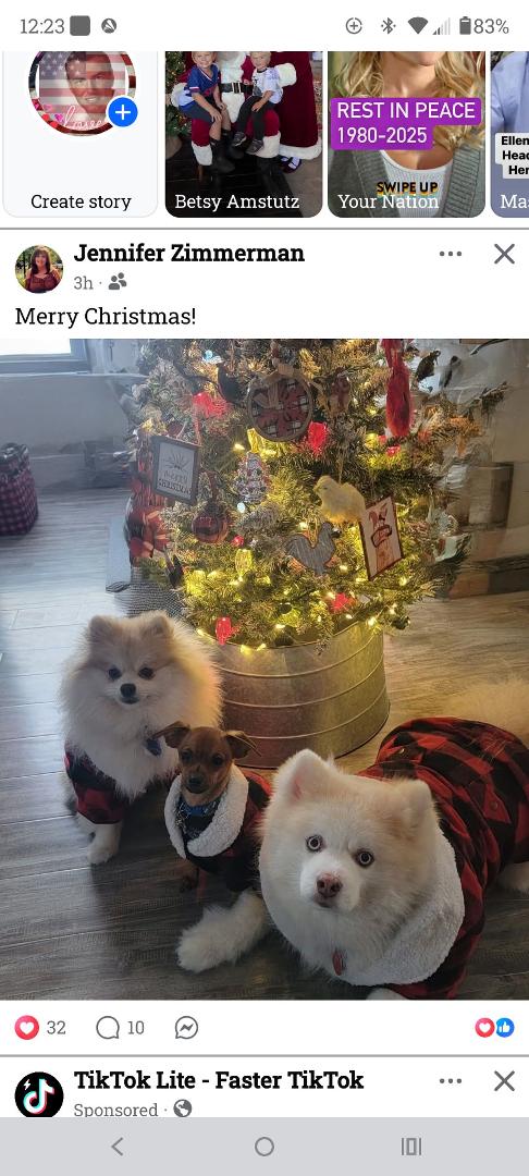Look at my 3 grand puppies aren't they adorable ❤️