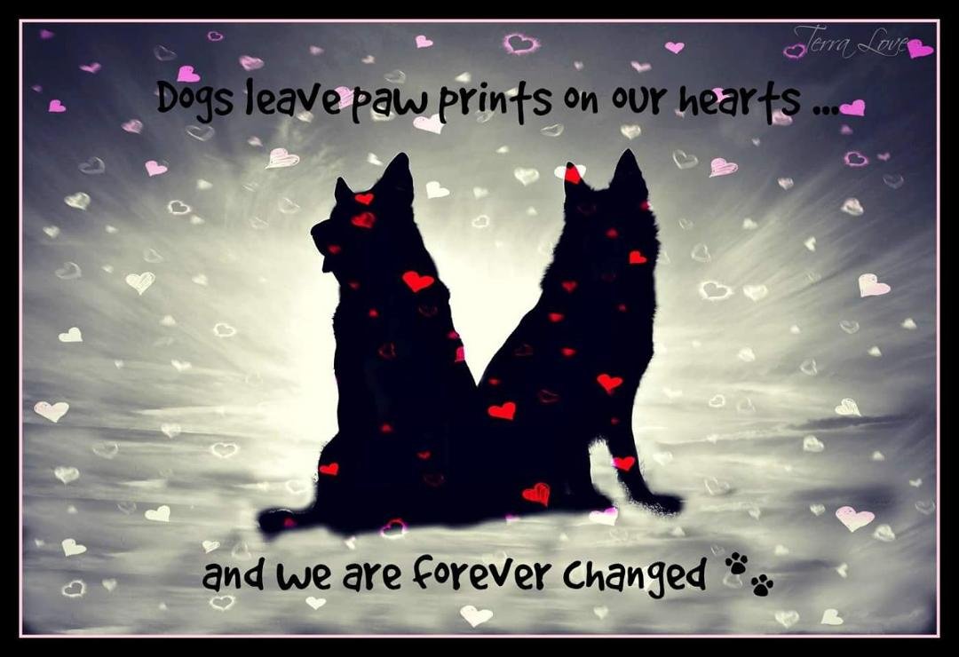 Yes they do! Missing Cheyenne!😢