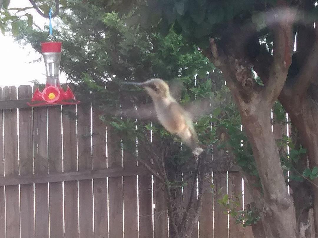Look who stopped by to say hello!
