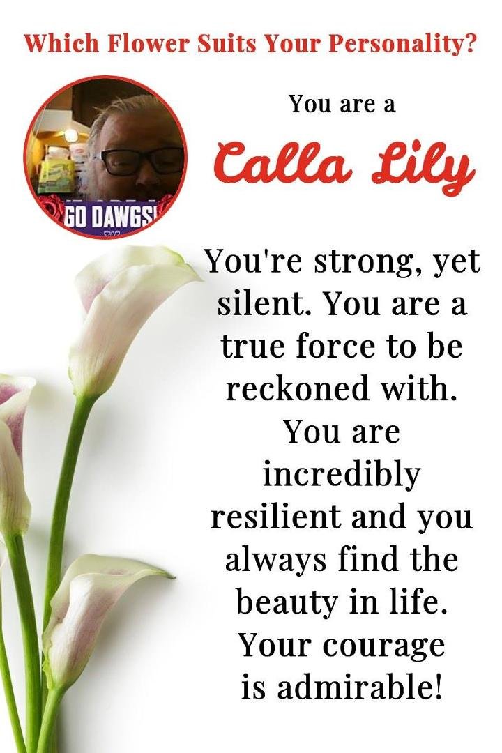 Matthew Palermini's album, Timeline Photos