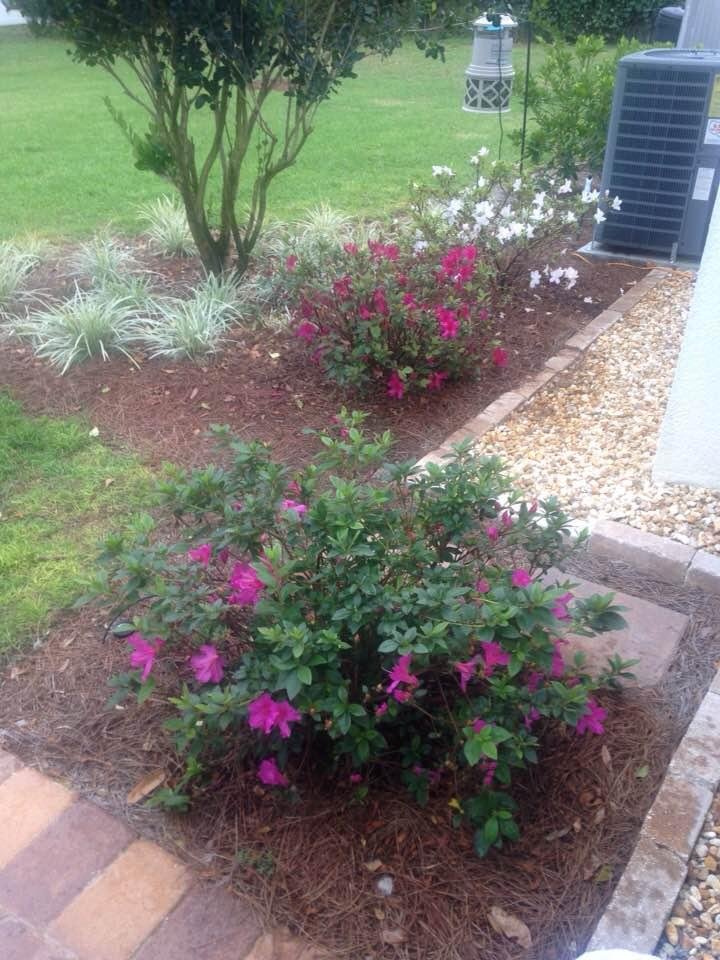 Gale Acton's album, Timeline Photos