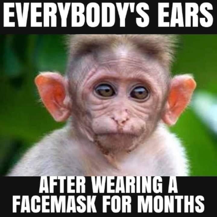 Gary Lower's album, Timeline Photos
