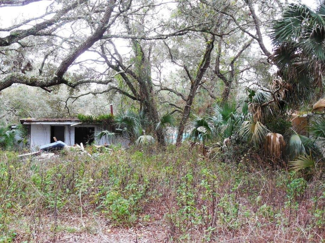 Mike Matterson's album, My New Florida Neighborhood