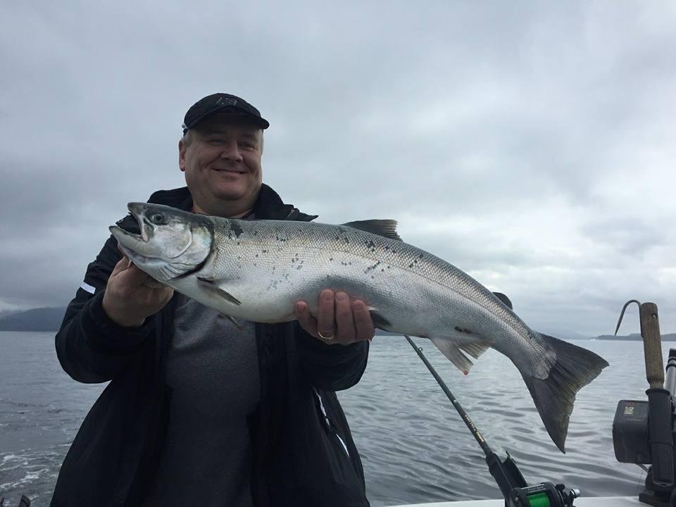 I caught this silver salmon from a charter fishing boat in the salt water Dall Bay out of Ketchikan, Alaska.