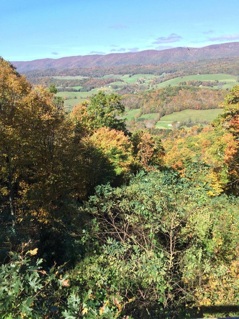 Beautiful leaves in route for a short weekend trip to North Carolina!  Go see if you can--- well worth the drive.
