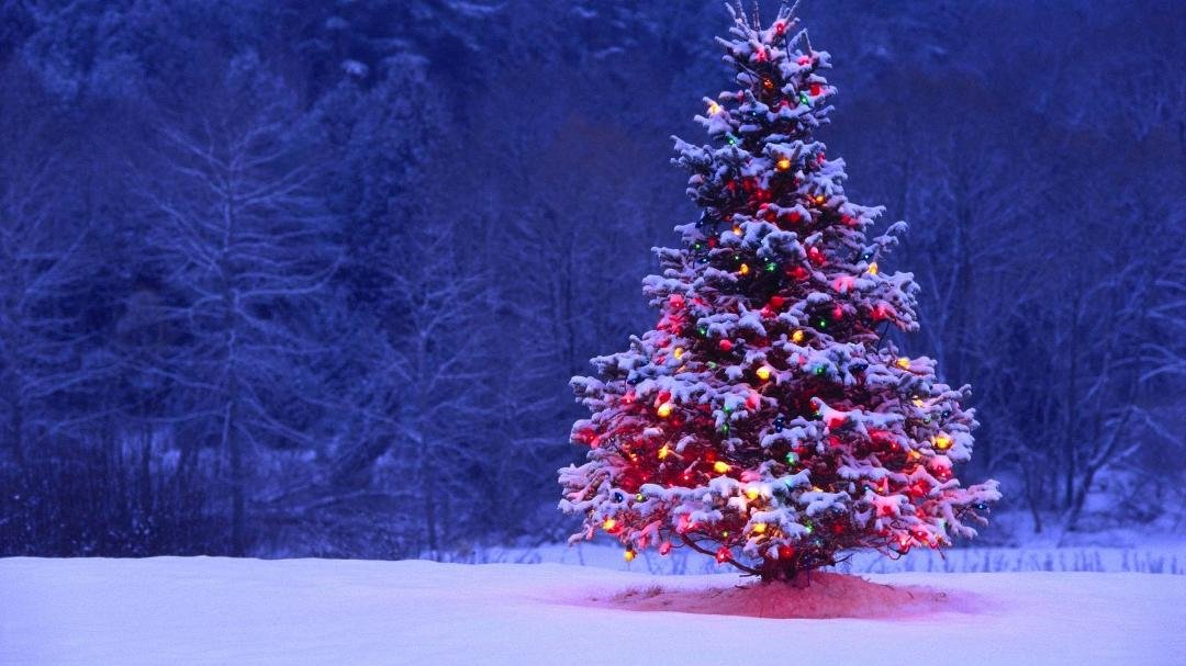 A wonderful Christmas (tomorrow night) to all that celebrate