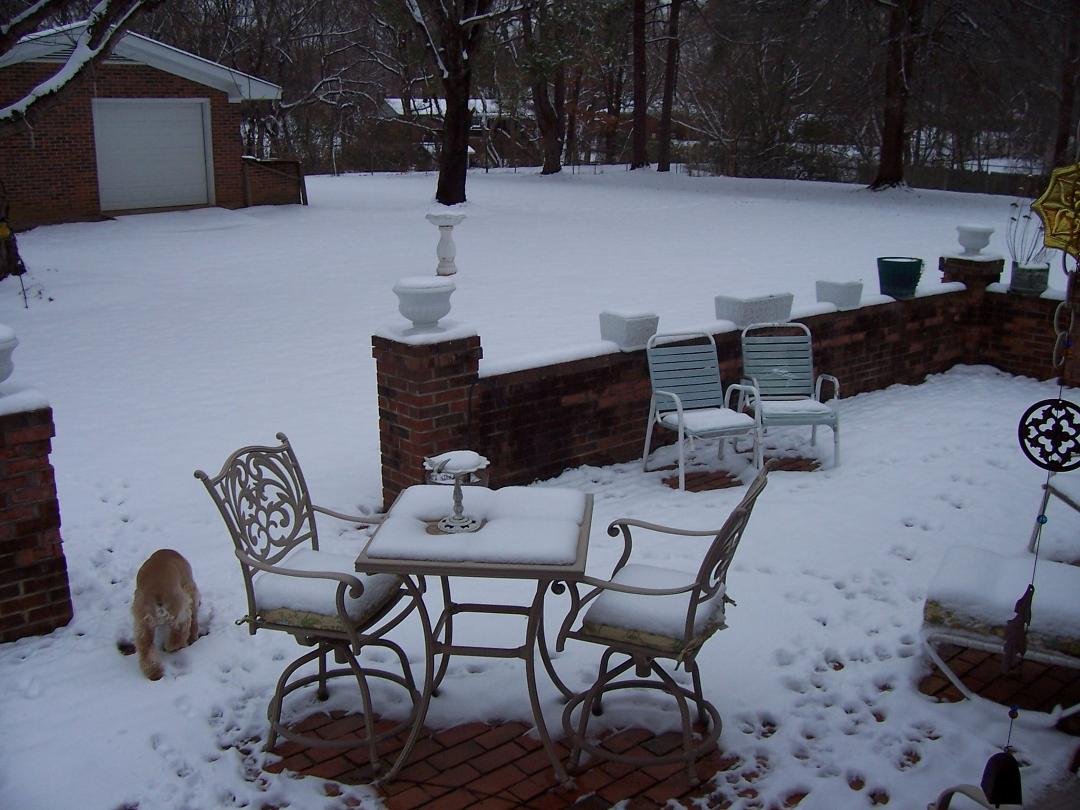 JAN 10 2011