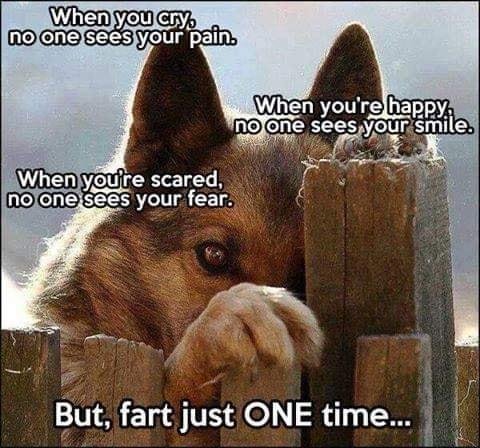 Sadie(beth,Liz) Acker's album, Timeline Photos