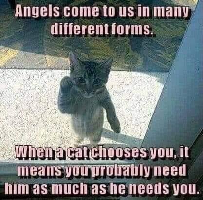 Kenneth Mackay's album, Timeline Photos