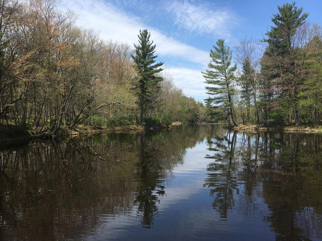 Calm morning on Brunet Island State Park