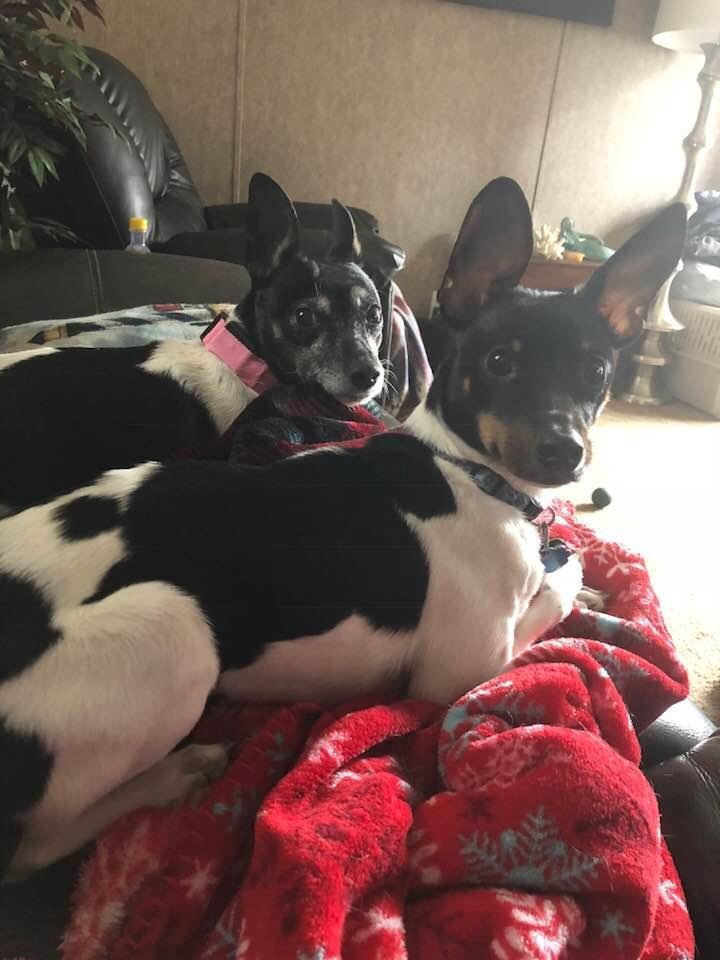 Chilling with the kids