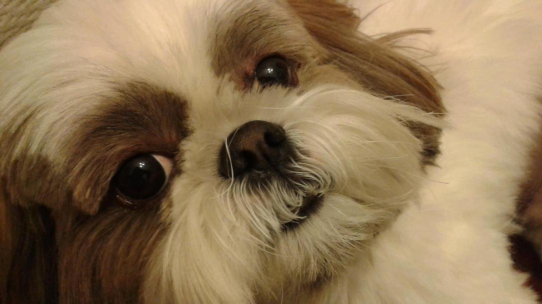 Meu anjo!