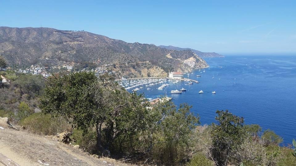 Catalina
