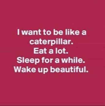 Ellen Perry's album, Timeline photos