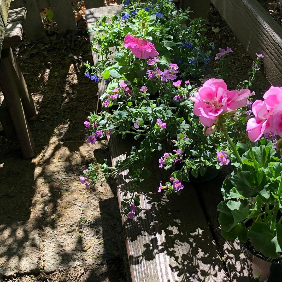 Sheryl Simms-Foster's album, Timeline Photos