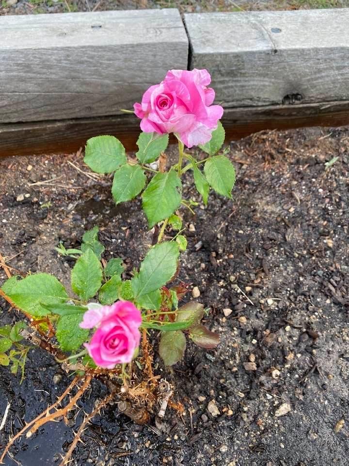 David Driscoll's album, Timeline photos