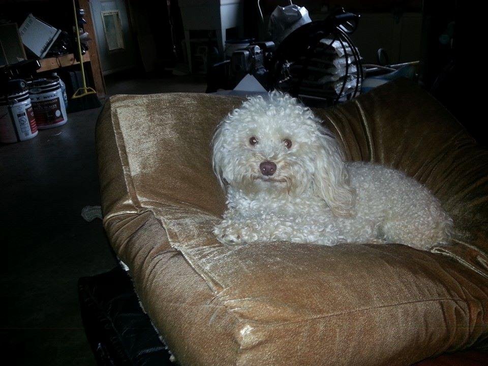 My pride and joy !! Oliver !