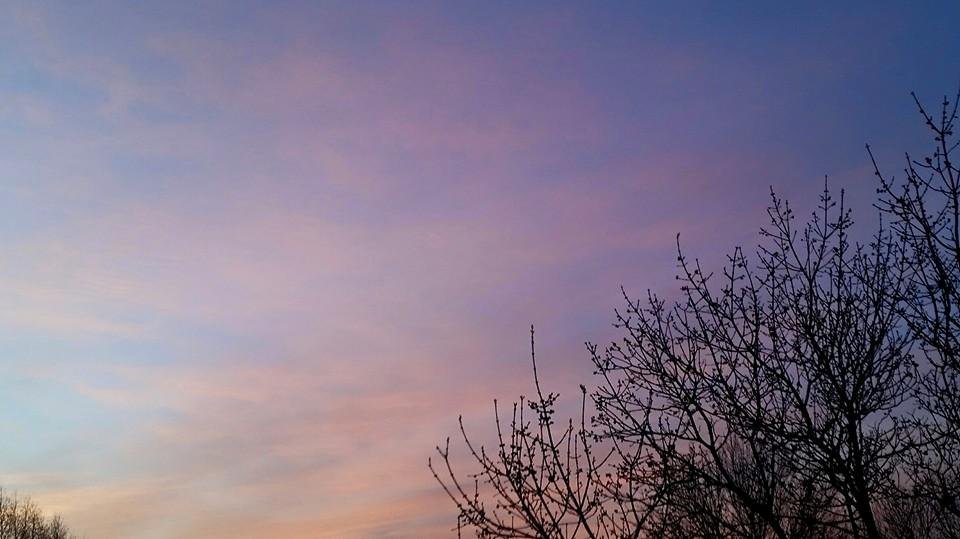 Enjoying morning sunrise