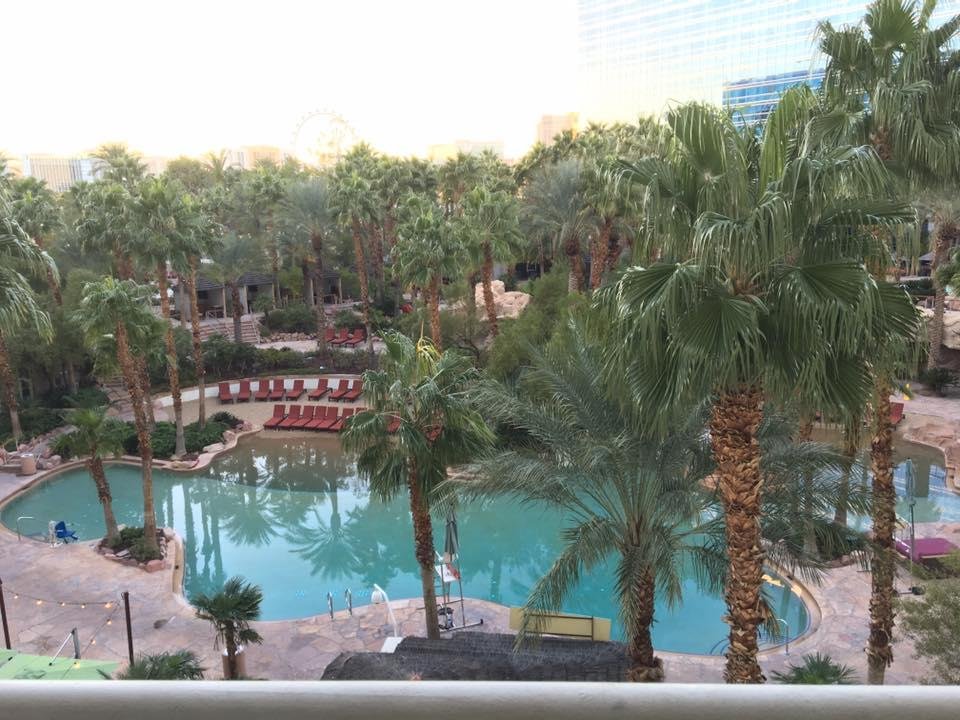Room with a view