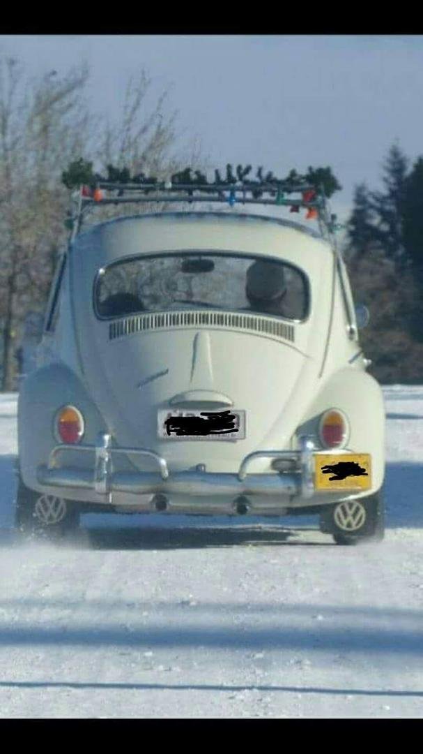NOT a reversed photo....this is a right hand drive bug