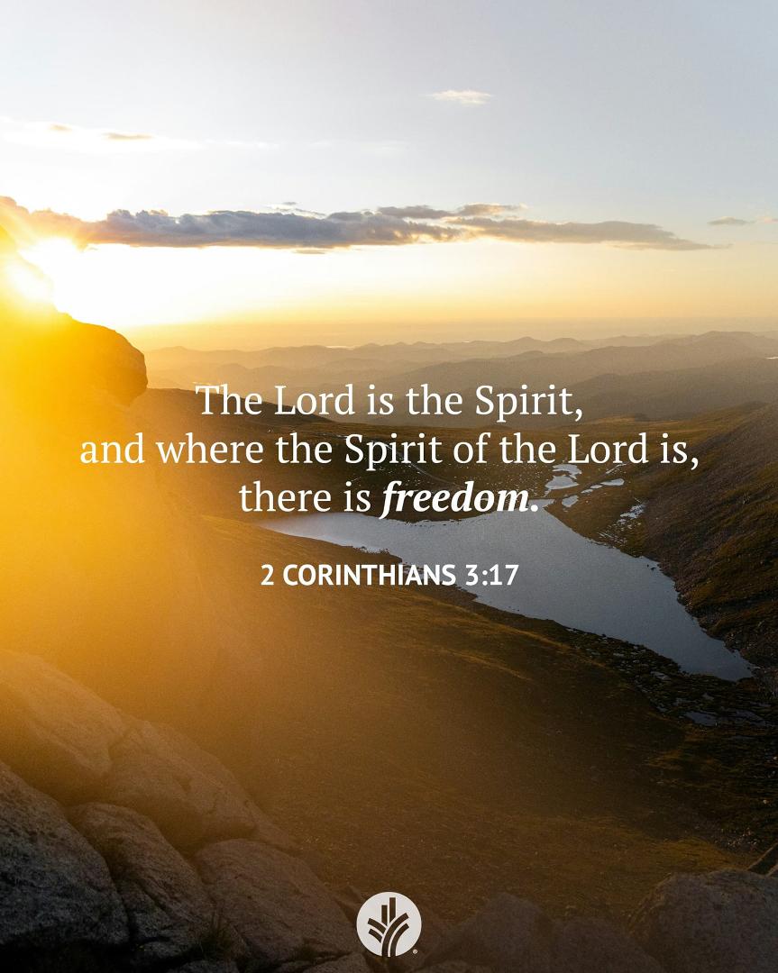 How has knowing Jesus changed you? What is He growing in you today?
Thank You, God, for continuing to transform me into Your likeness.
