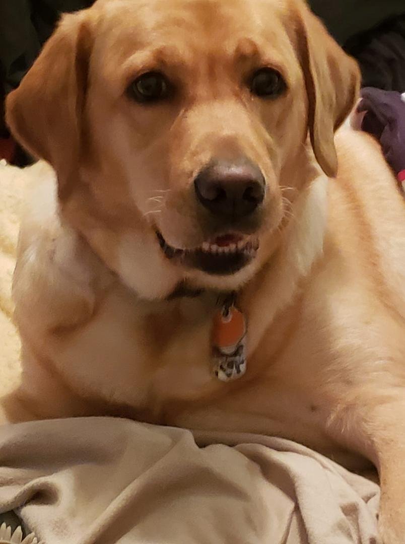 Jasmine, such a sweet girl!!!