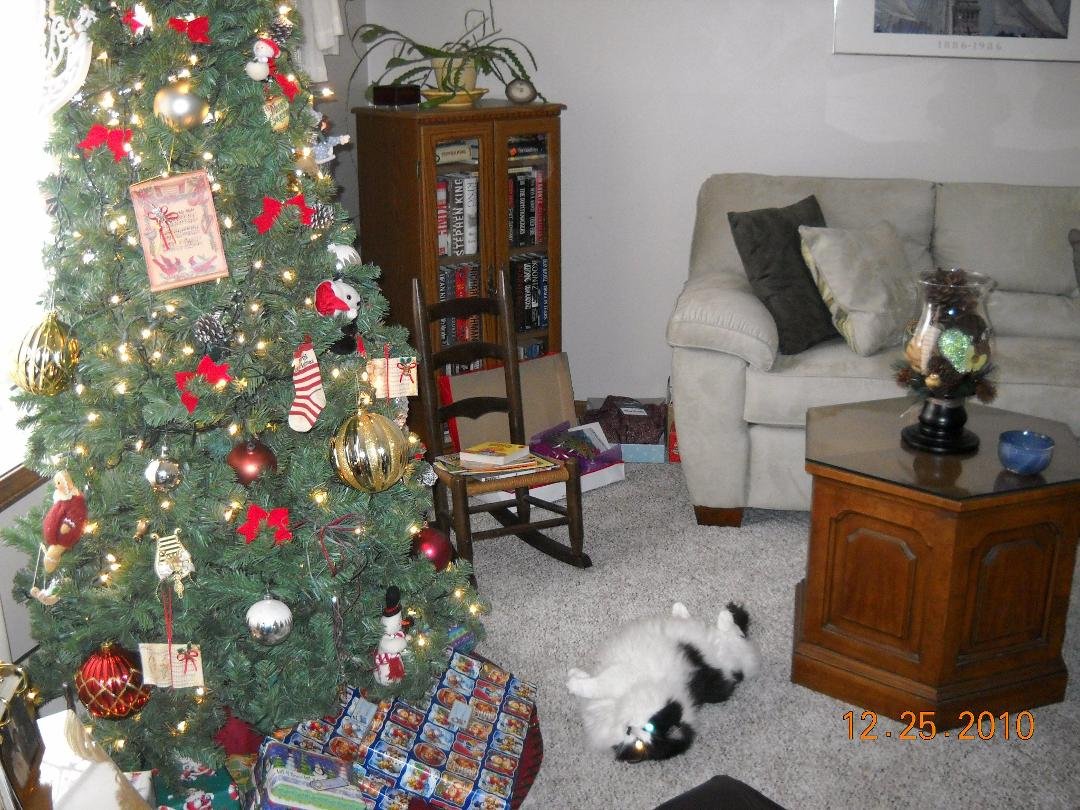 I had a wonderful Christmas with my children their children and my cat Meggy...hogging the show (in the photo) under the Christmas tree. I wish my daughter, Michelle, could have been here to share the fun. Today is my husb