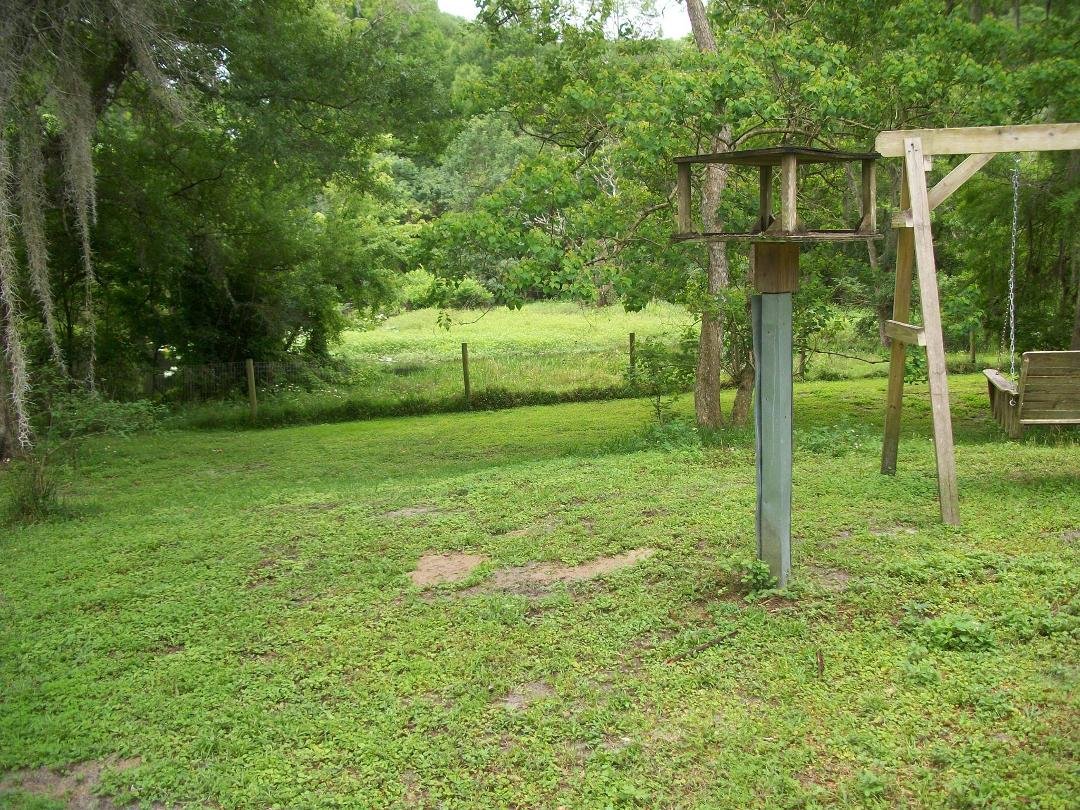 Backyard looking towards Withlacoochee River.