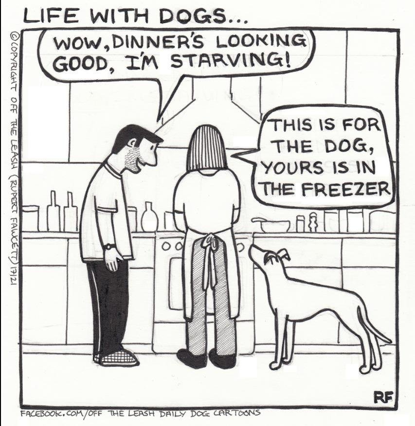I am sure the dog gets better food!