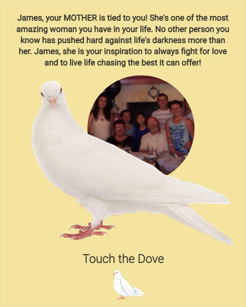 Touch The Dove And Discover Who Is Flying By Your Side