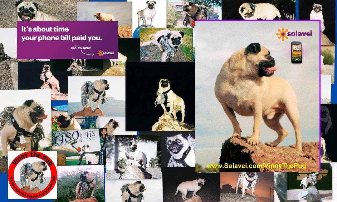 FREE 6-MONTH FUNDRAISER HOSTING
Vinny the Pug’s “Team SOLAVEI” Host’s FREE 6-Month Fundraisers for
organized groups whose supporters buy at Vinny the Pug’s two Stores.
Participants keep 80% of profits from their supp