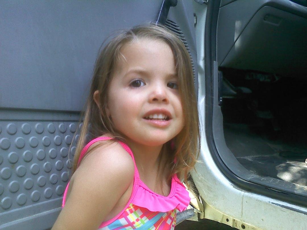 Amia
