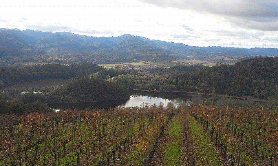 A great day today in the Napa Valley. Cheers and Happy New Year to all!
