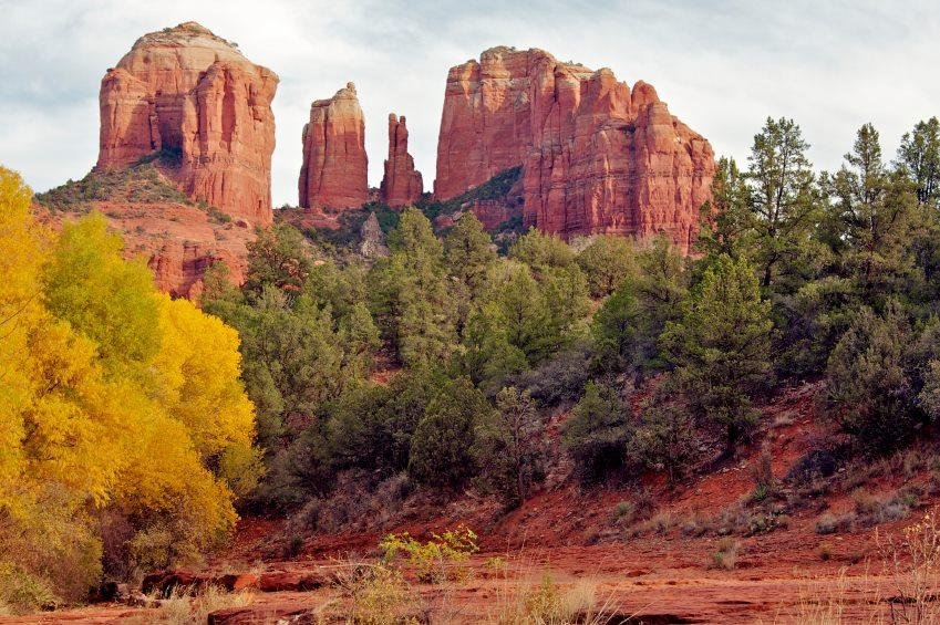 Debra Davis' album, AZ Seasonal Pictures