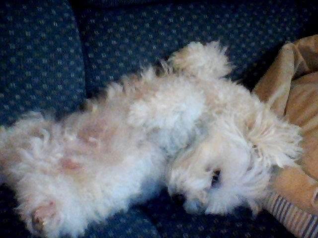 Barbara Smith's album, Timeline Photos