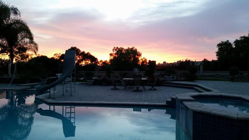 Sharon Robison's album, Mobile Uploads