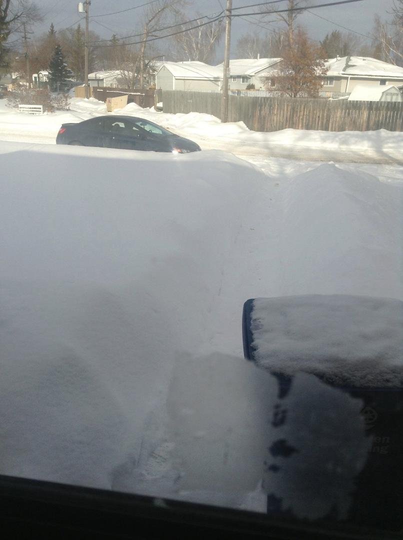 First day of Spring 03/21/2014